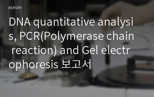 DNA quantitative analysis, PCR(Polymerase chain reaction) and Gel electrophoresis 보고서