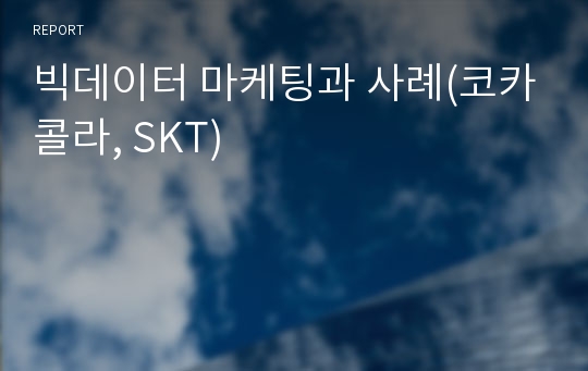 빅데이터 마케팅과 사례(코카콜라, SKT)