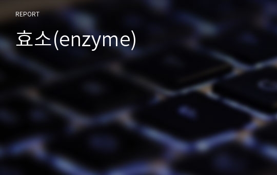 효소(enzyme)