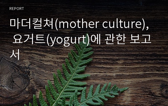 마더컬쳐(mother culture), 요거트(yogurt)에 관한 보고서