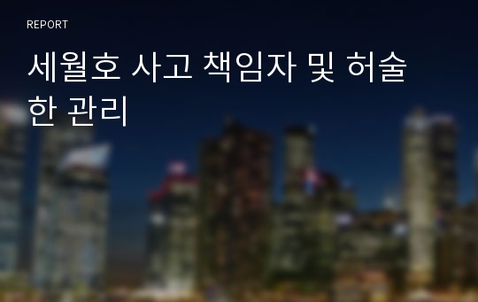 세월호 사고 책임자 및 허술한 관리