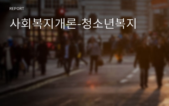 사회복지개론-청소년복지