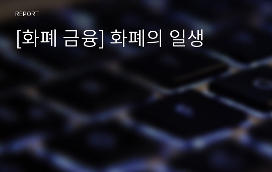 [화폐 금융] 화폐의 일생