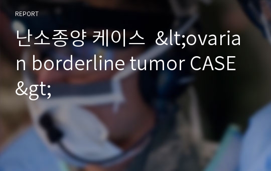 난소종양 케이스  &lt;ovarian borderline tumor CASE&gt;