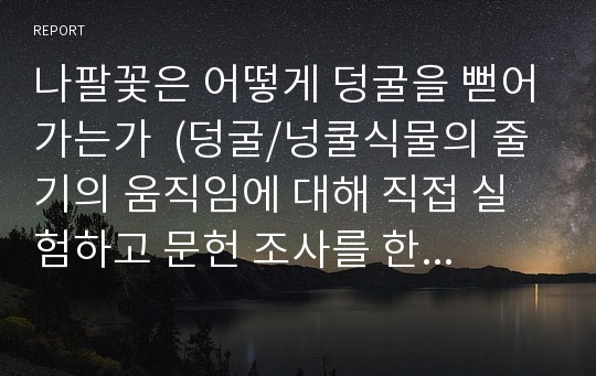 나팔꽃은 어떻게 덩굴을 뻗어가는가  (덩굴/넝쿨식물의 줄기의 움직임에 대해 직접 실험하고 문헌 조사를 한 리포트)