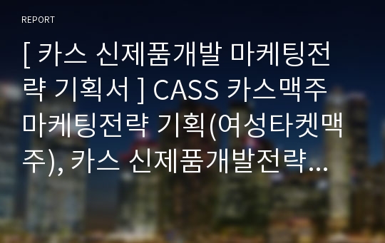 카스 CASS 신제품개발 마케팅 기획