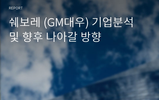 쉐보레 (GM대우) 기업분석 및 향후 나아갈 방향