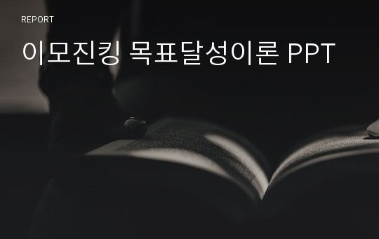 이모진킹 목표달성이론 PPT