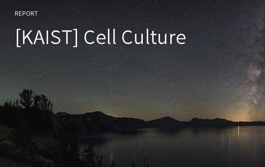 [KAIST] Cell Culture