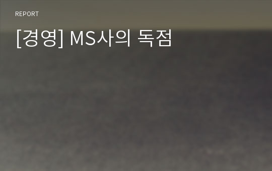 [경영] MS사의 독점