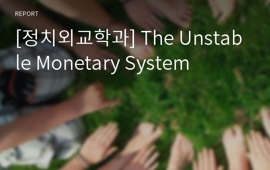 [정치외교학과] The Unstable Monetary System