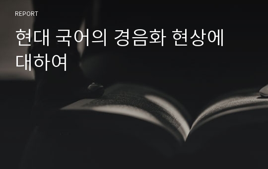 현대 국어의 경음화 현상에 대하여