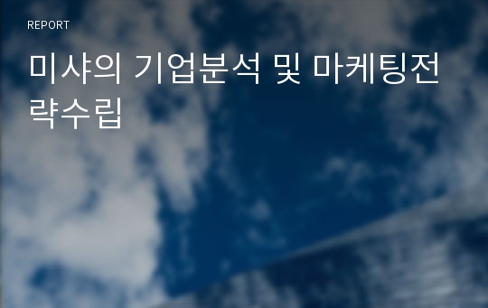 미샤의 기업분석 및 마케팅전략수립