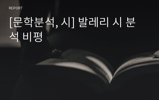 [문학분석, 시] 발레리 시 분석 비평