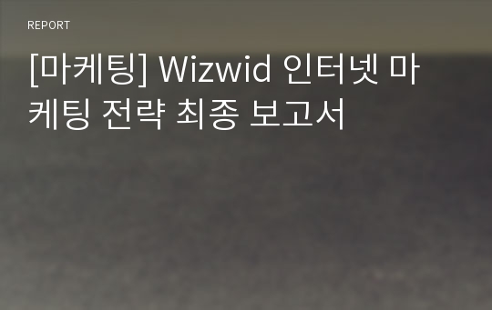 [마케팅] Wizwid 인터넷 마케팅 전략 최종 보고서