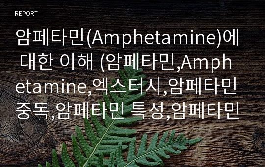 암페타민(Amphetamine)에 대한 이해 (암페타민,Amphetamine,엑스터시,암페타민 중독,암페타민 특성,암페타민 구조)