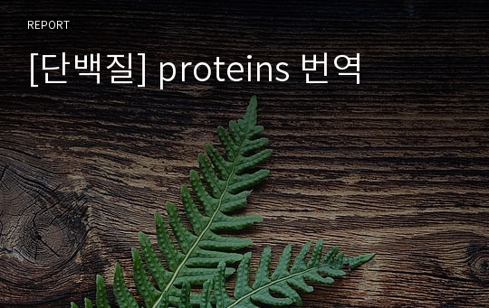 [단백질] proteins 번역