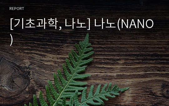 [기초과학, 나노] 나노(NANO)