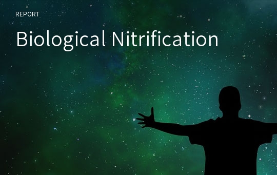 Biological Nitrification