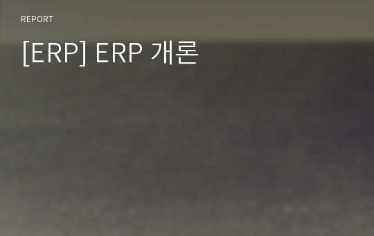 [ERP] ERP 개론