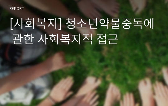 [사회복지] 청소년약물중독에 관한 사회복지적 접근