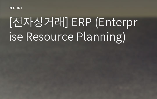 [전자상거래] ERP (Enterprise Resource Planning)
