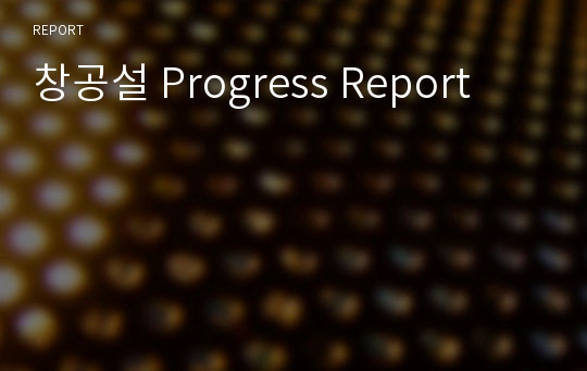 창공설 Progress Report