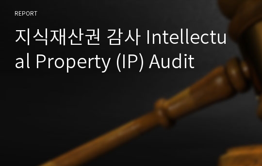 지식재산권 감사 Intellectual Property (IP) Audit