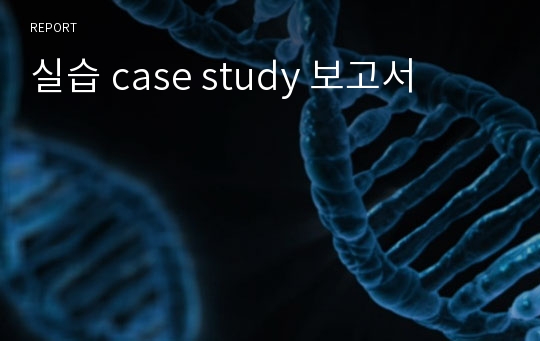 실습 case study 보고서