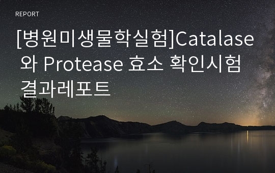 [병원미생물학실험]Catalase 와 Protease 효소 확인시험 결과레포트