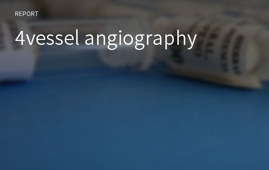4vessel angiography