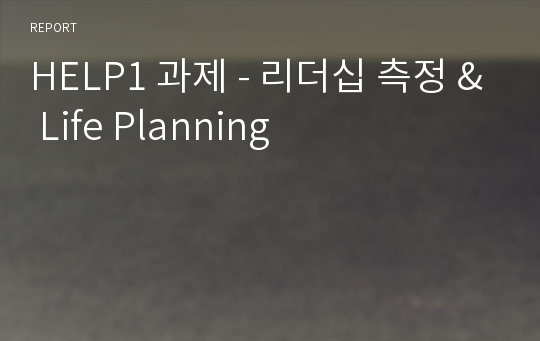 HELP1 과제 - 리더십 측정 &amp; Life Planning