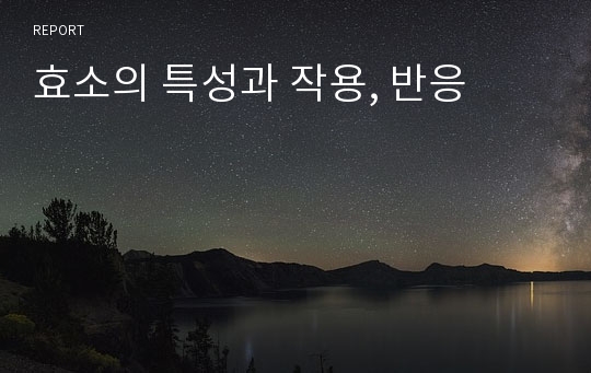 효소의 특성과 작용, 반응