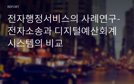 전자행정서비스의 사례연구- 전자소송과 디지털예산회계시스템의 비교