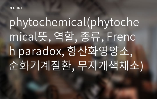 phytochemical(phytochemical뜻, 역할, 종류, French paradox, 항산화영양소, 순화기계질환, 무지개색채소)