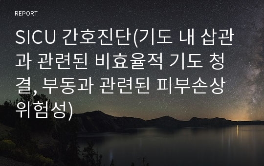 SICU 간호진단(기도 내 삽관과 관련된 비효율적 기도 청결, 부동과 관련된 피부손상 위험성)