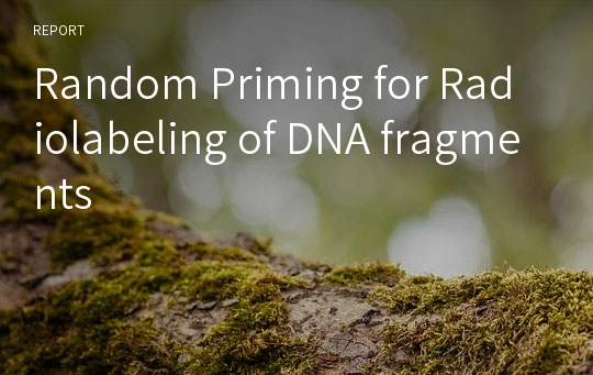 Random Priming for Radiolabeling of DNA fragments