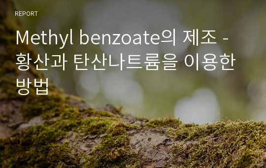 Methyl benzoate의 제조 - 황산과 탄산나트륨을 이용한 방법