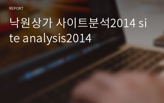 낙원상가 사이트분석2014 site analysis2014