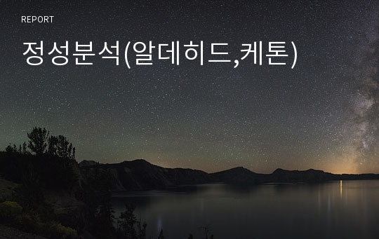 정성분석(알데히드,케톤)