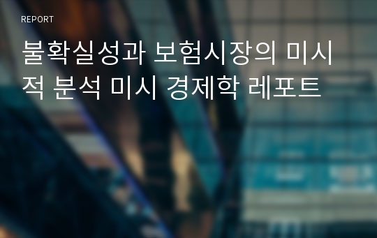 불확실성과 보험시장의 미시적 분석 미시 경제학 레포트