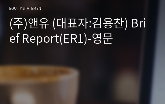 (주)앤유 Brief Report(ER1)-영문