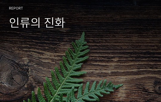 인류의 진화