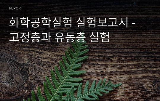 화학공학실험 실험보고서 - 고정층과 유동층 실험