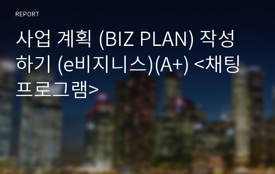 사업 계획 (BIZ PLAN) 작성하기 (e비지니스)(A+) &lt;채팅 프로그램&gt;