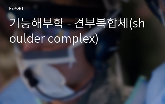 기능해부학 - 견부복합체(shoulder complex)