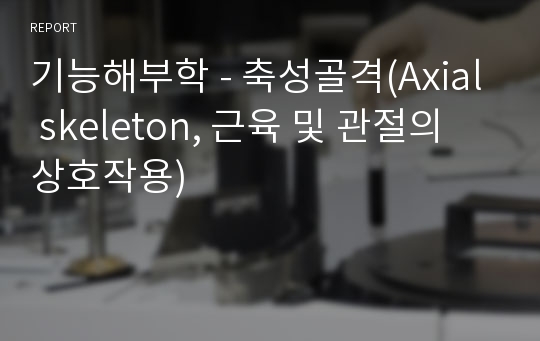 기능해부학 - 축성골격(Axial skeleton, 근육 및 관절의 상호작용)