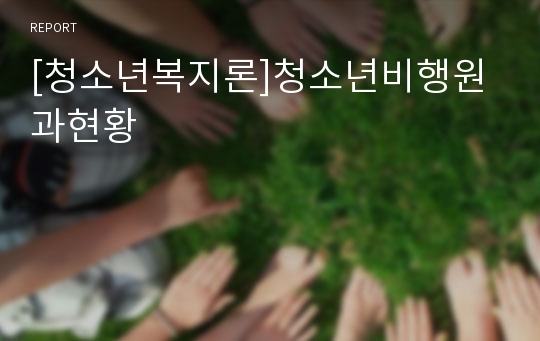 [청소년복지론]청소년비행원과현황