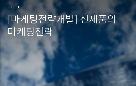 [마케팅전략개발] 신제품의 마케팅전략