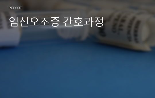 임신오조증 간호과정